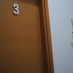 Molo 5